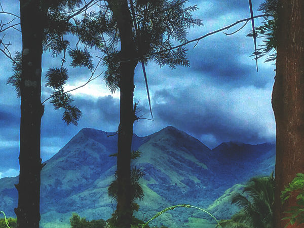 कैसे पहुंचे कालपेट्टा