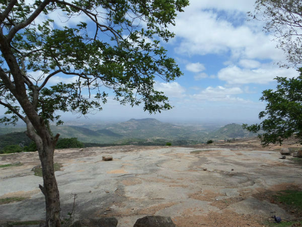 होर्सली हिल्स