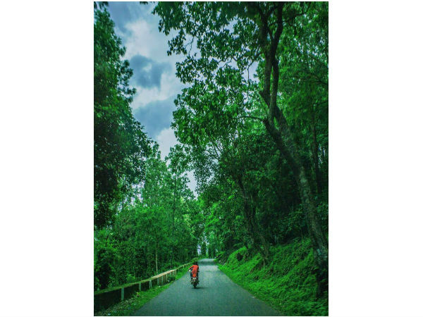 अराकु घाटी