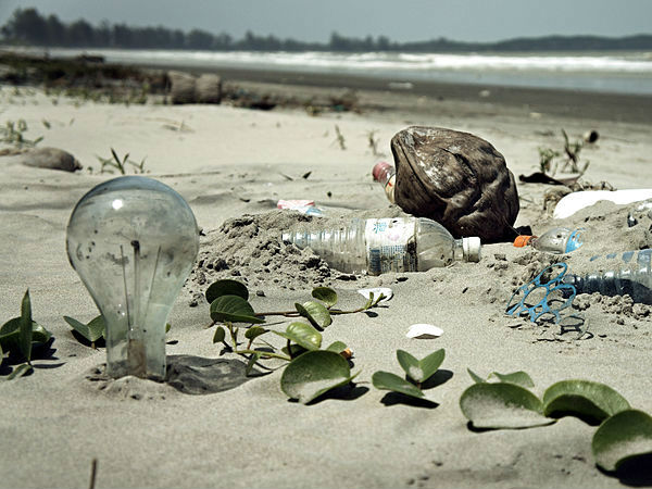 कचरा ना फैलाएं 