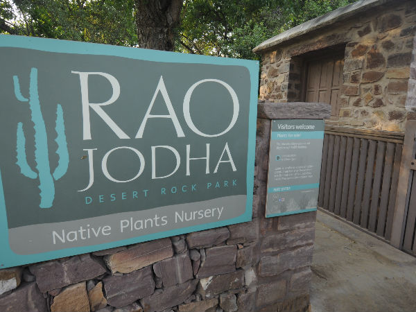 राव जोधा डेजर्ट रॉक पार्क
