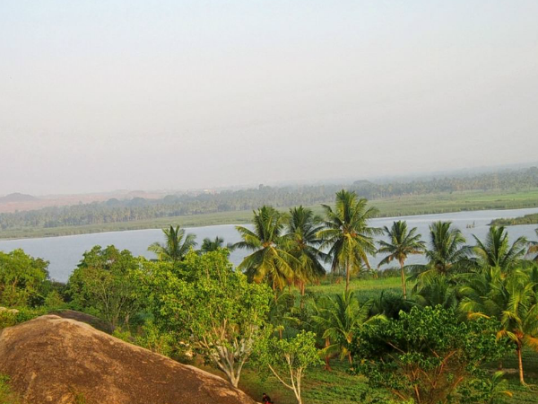 नाइट ट्रैक