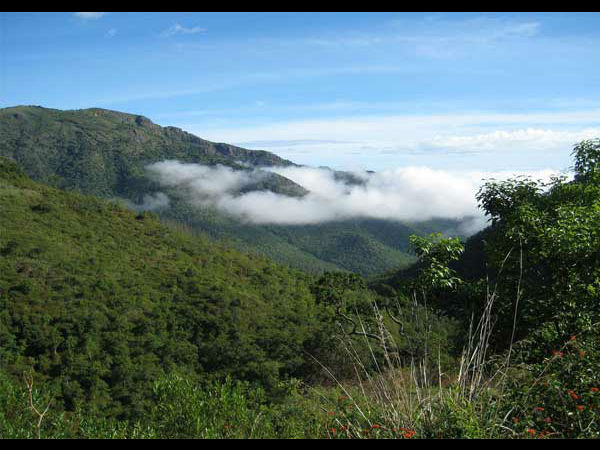 दक्षिण का चेरापूंजी