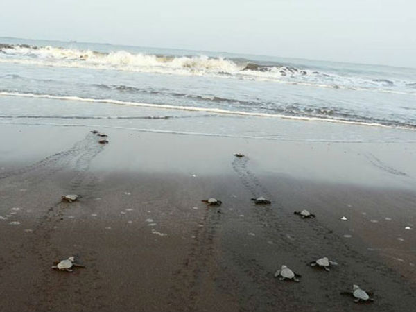 वेलास बीच 