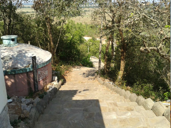 ओलासूनी 