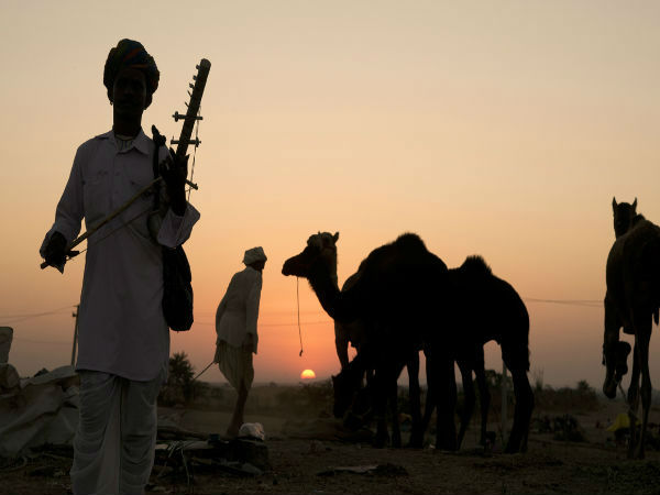 पुष्कर मेला