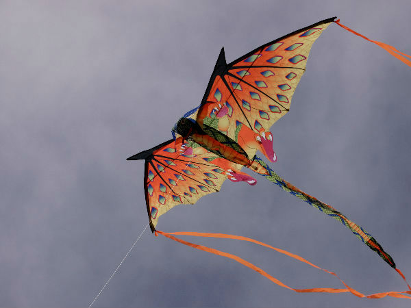 पतंग महोत्सव 