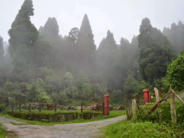 गांव की खुली हवा में घूमे 