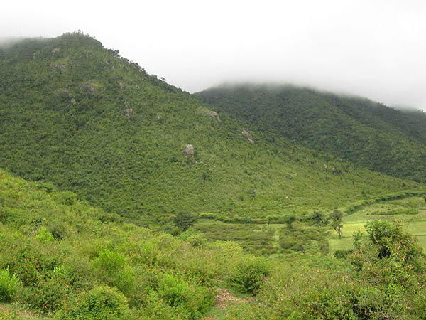 हिमवाद गोपालस्‍वामी बेट्टा