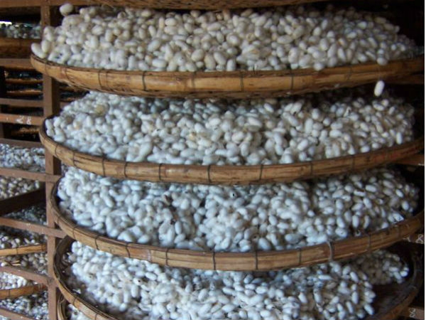 रामनगर आने का सही समय