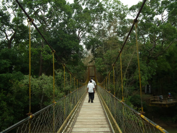 कावेरी निसारगधमा