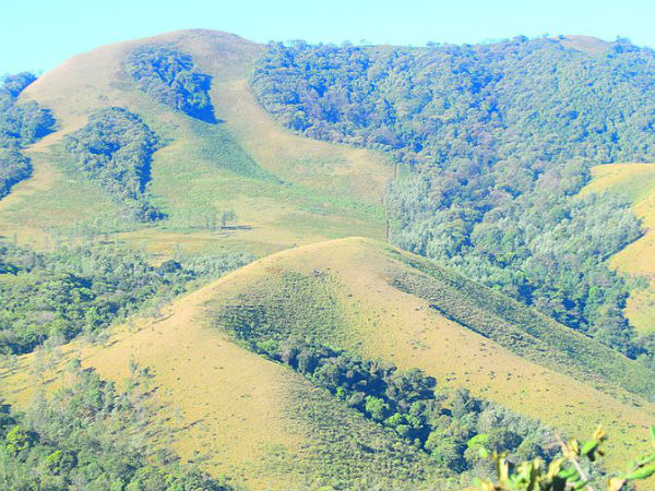 मुल्‍लायांगिरी