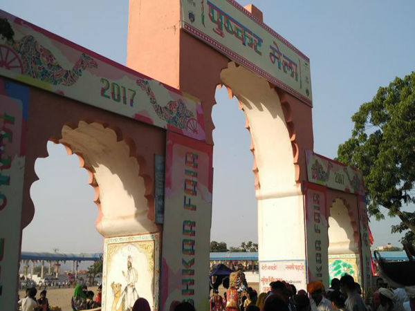 पुष्कर मेला 2017