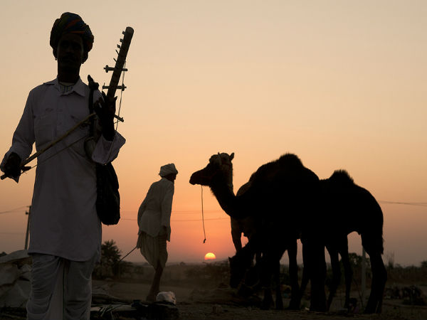 पुष्कर मेला 2017