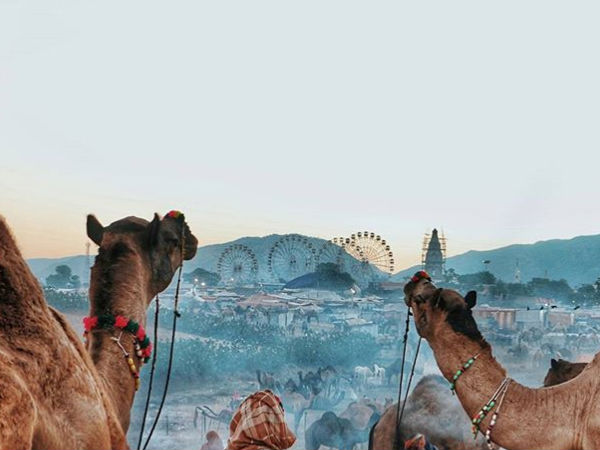 पुष्कर मेला 2017