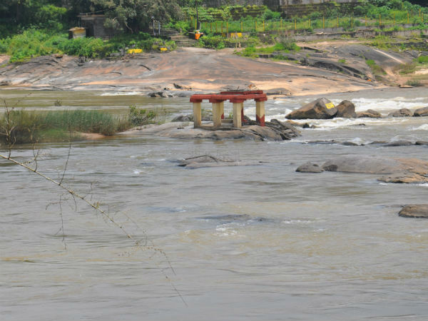छिब्‍बालगुड्डे