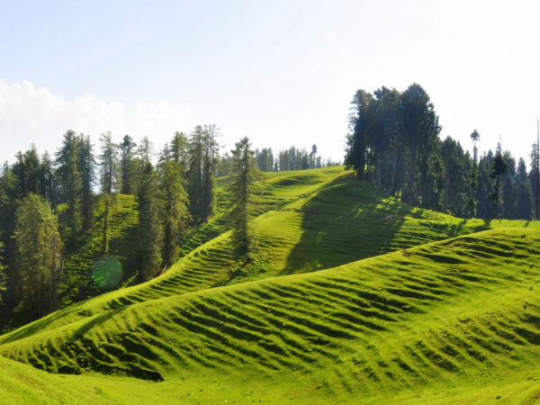 पाद्री गली