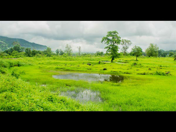 रूट 1 से मुंबई से शिर्डी के बीच स्‍टॉप