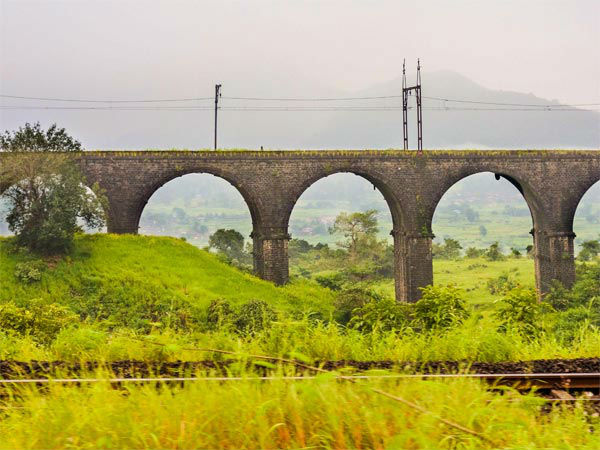 बस द्वारा