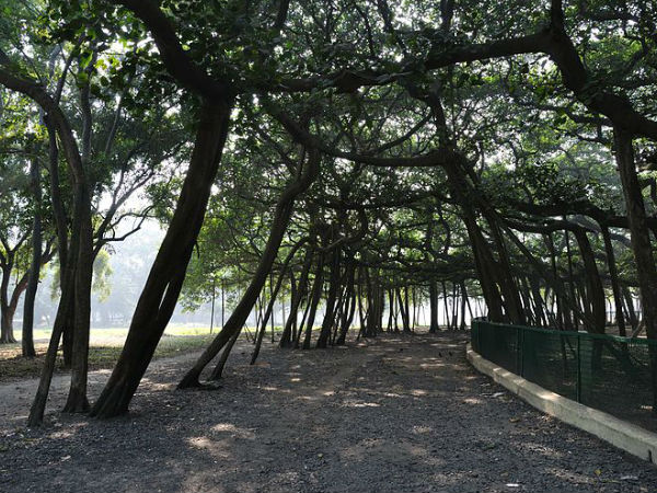 255वर्ष पुराना 