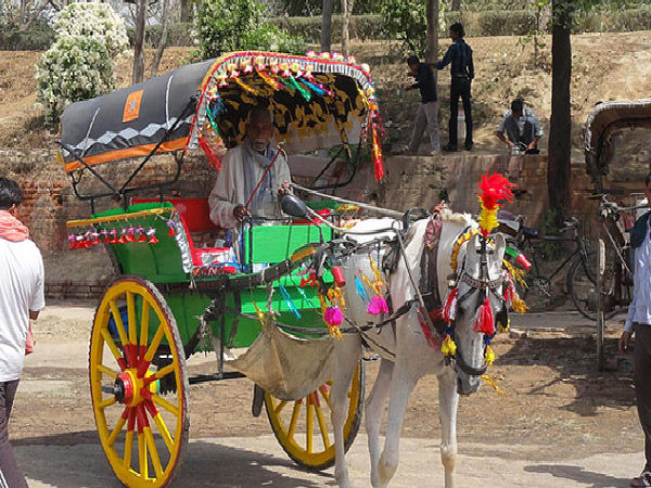 पुराने हरिद्वार में तांगे की सवारी 