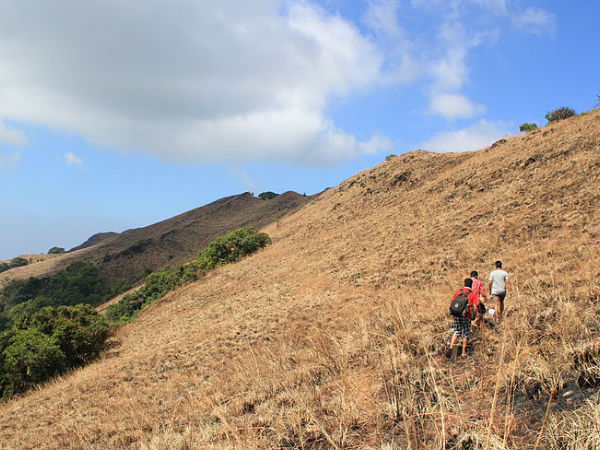 ट्रैकिंग 