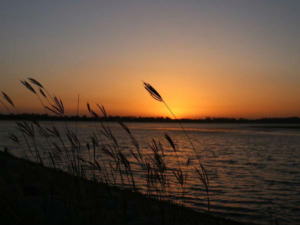 Sur Sarovar Bird Sanctuary