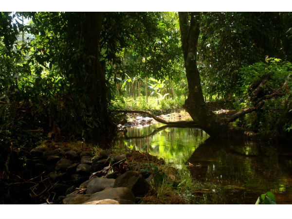 रॉक क्लाइम्बिंग 