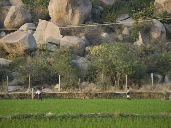 प्रकृति के बीच सैर का मज़ा