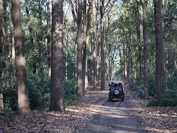 सफारी वाहन से नीचे नहीं उतरें