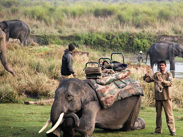 ज्यादा उत्तेजित परफ्यूम ना लगायें 