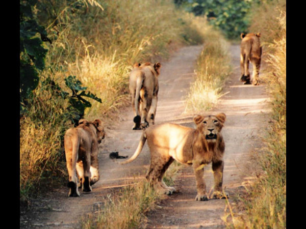 संयम रखें 