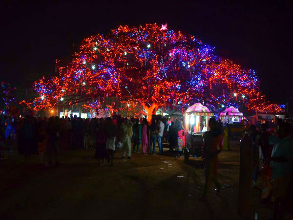 क्‍या है पुर्तगाली कनेक्‍शन