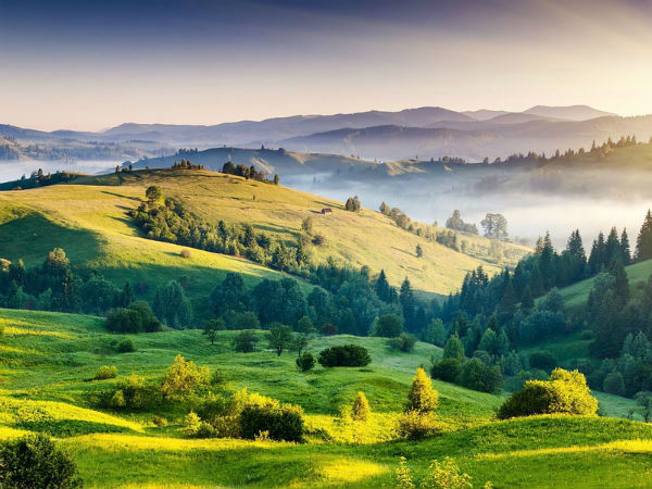 कोडाईकनल