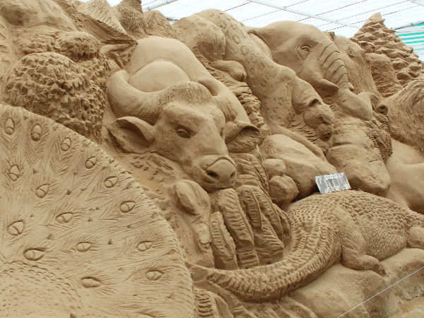 वन्यजीव 