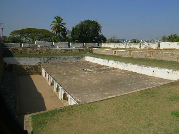 बेली डंग्‍योन