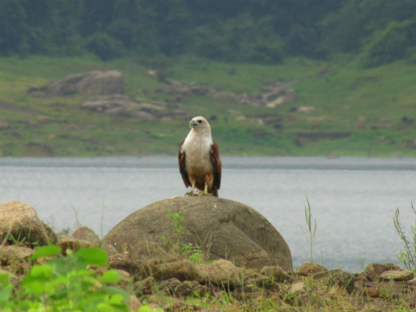छिम्मिनी वन्‍यजीव अभ्‍यारण्‍य