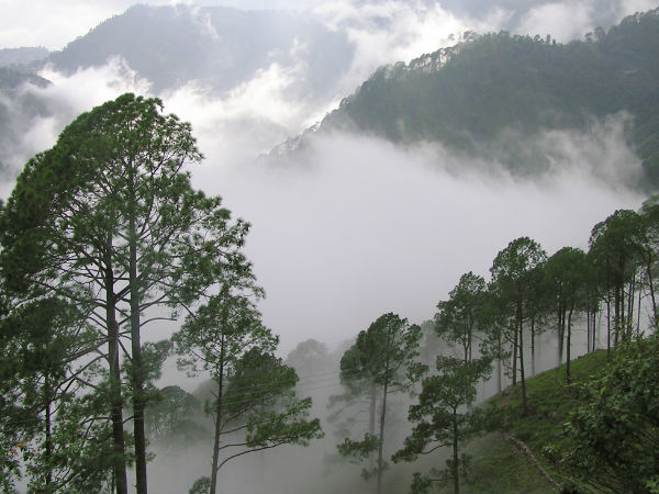 नैनीताल 