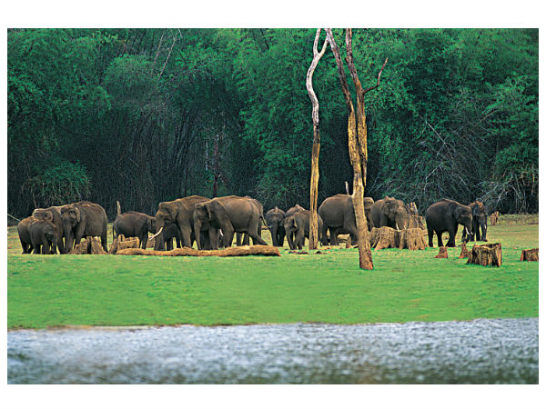 थेक्कड़ी 