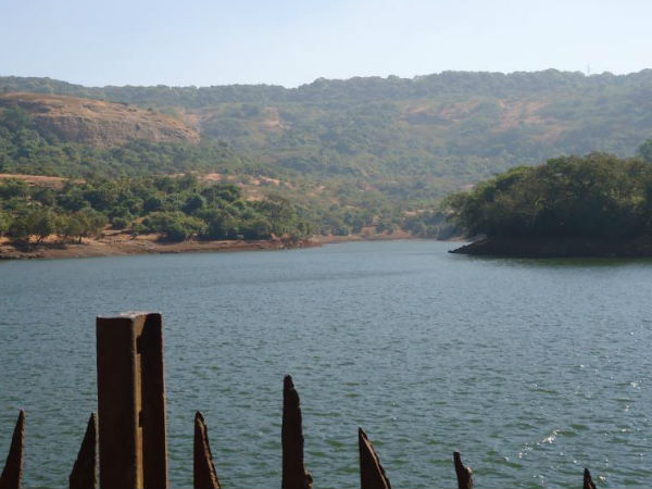 बुशी डैम