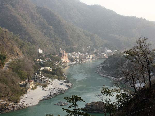 फ्लाइंग फॉक्स 