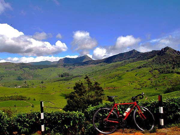 मुन्‍नार चाय के बागान, केरल