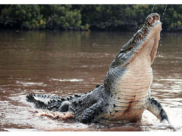 कहां स्थित है?