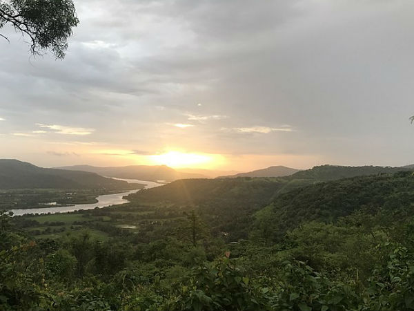 निहार सकत हैं कई पक्षी 