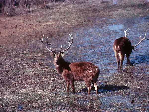 पर्यटन की दृष्टि से