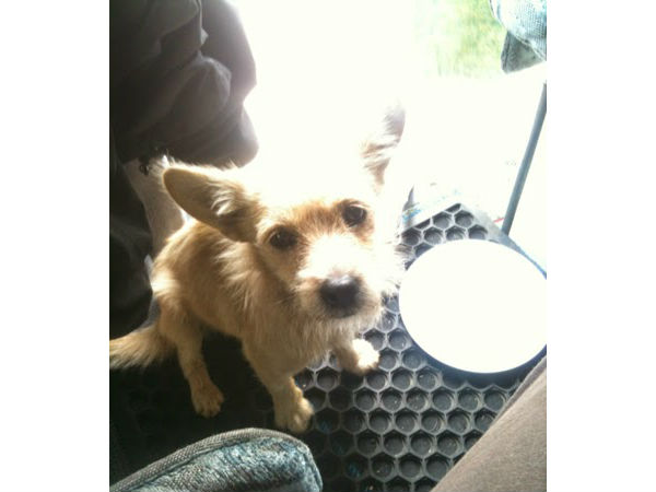 खाने-पीने की जिम्मेदारी आपकी