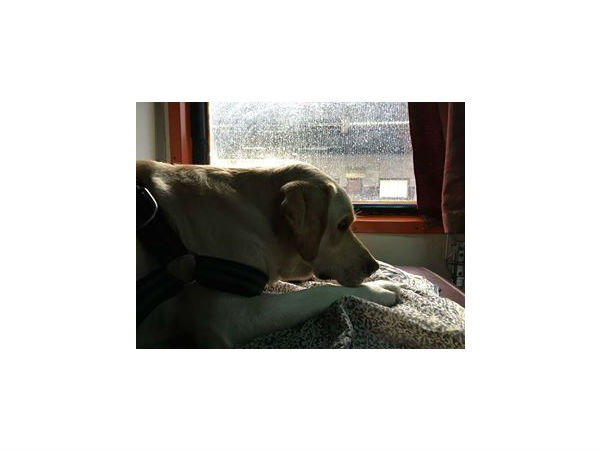 बिना बुकिंग के देना होगा हर्जाना 