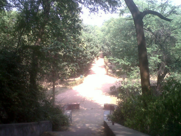 पिकनिक स्पॉट 