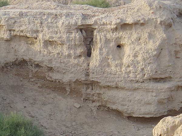 किया करते थे खेती 