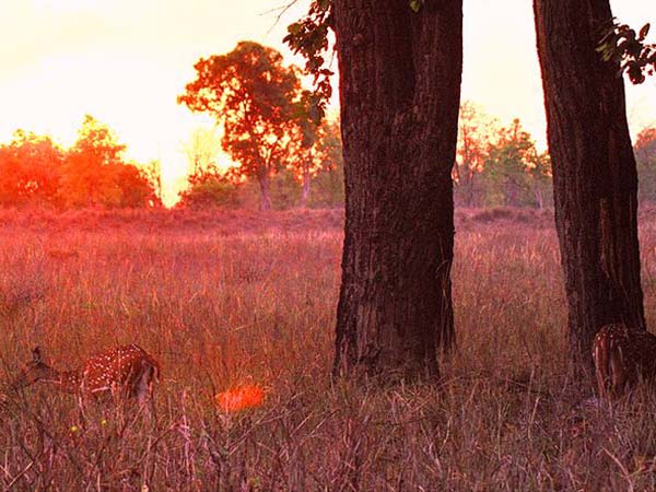 पौराणिक इतिहास 